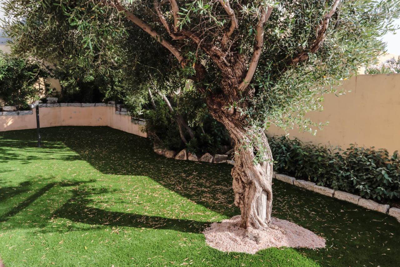 أولبيا Rental Villa Bb المظهر الخارجي الصورة